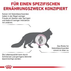 Royal Canin Mobility Trockenfutter Für Katzen -Virbac Strore royal canin mobility katze5