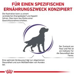 Royal Canin Expert Neutered Adult Medium Dogs Trockenfutter Für Hunde 11 Royal Canin Expert Neutered Adult Medium Dogs Trockenfutter Für Hunde -Virbac Strore royal canin neutered adult medium dogs hund3