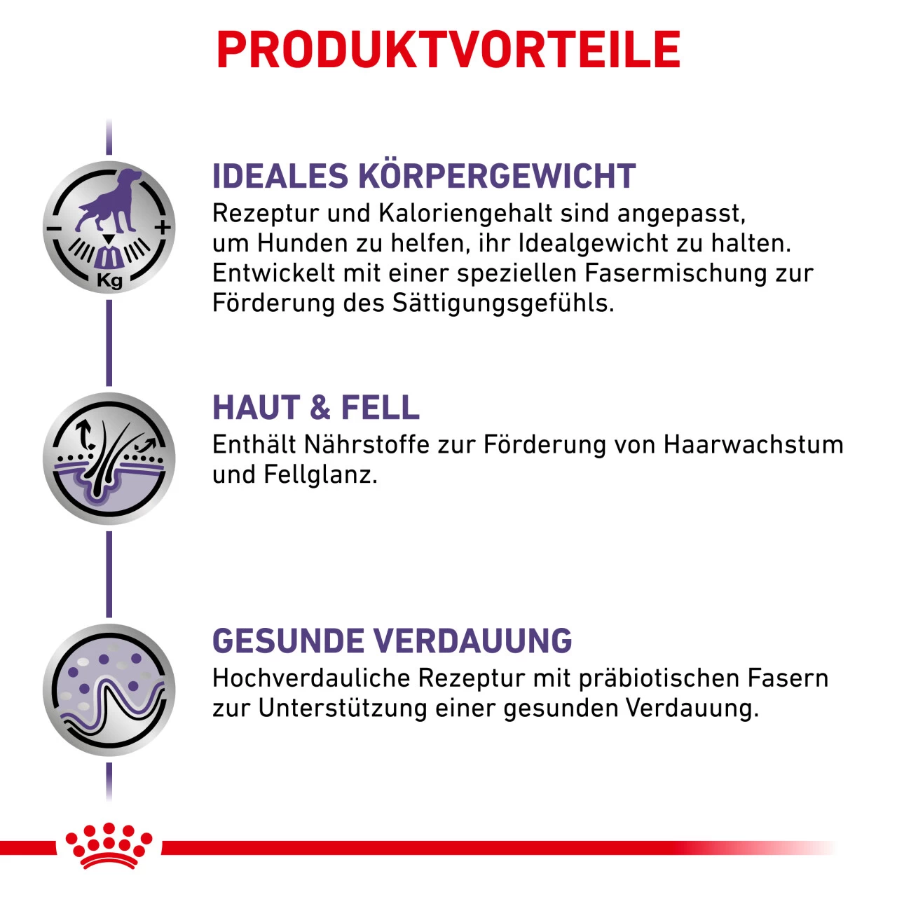 Royal Canin Expert Neutered Adult Medium Dogs Trockenfutter Für Hunde 5 Royal Canin Expert Neutered Adult Medium Dogs Trockenfutter Für Hunde – Bild 5