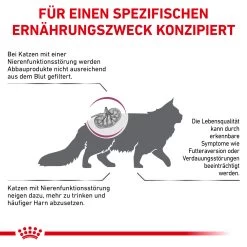 Royal Canin Renal Special Trockenfutter Für Katzen -Virbac Strore royal canin renal special katze5