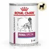 Royal Canin Renal Special Nassfutter Hunde