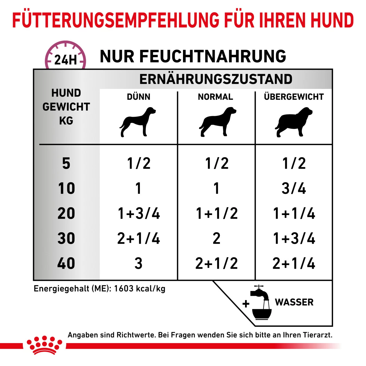 Royal Canin Renal Special Nassfutter Hunde 3 Royal Canin Renal Special Nassfutter Hunde – Bild 3