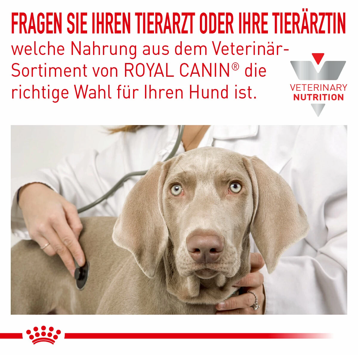 Royal Canin Sensitivity Control Trockenfutter Für Hunde 2 Royal Canin Sensitivity Control Trockenfutter Für Hunde – Bild 2