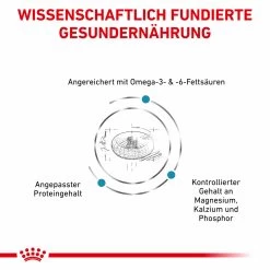 Royal Canin Skin & Coat Trockenfutter Für Katzen 10 Royal Canin Skin & Coat Trockenfutter Für Katzen -Virbac Strore royal canin skin coat trocken katze3