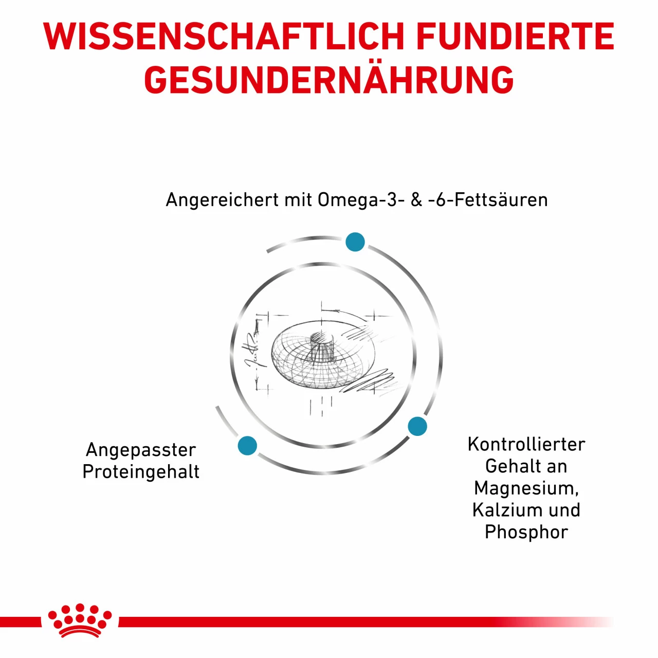 Royal Canin Skin & Coat Trockenfutter Für Katzen 3 Royal Canin Skin & Coat Trockenfutter Für Katzen – Bild 3