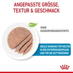Royal Canin Starter Mousse Mother & Babydog Nassfutter Für Hunde 11 Royal Canin Starter Mousse Mother & Babydog Nassfutter Für Hunde -Virbac Strore royal canin starter mousse mother babydog hund4