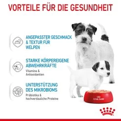 Royal Canin Starter Mousse Mother & Babydog Nassfutter Für Hunde 12 Royal Canin Starter Mousse Mother & Babydog Nassfutter Für Hunde -Virbac Strore royal canin starter mousse mother babydog hund5