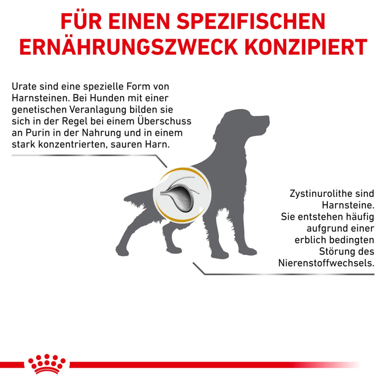 Royal Canin Urinary U/C Trockenfutter Für Hunde 7 Royal Canin Urinary U/C Trockenfutter Für Hunde – Bild 7