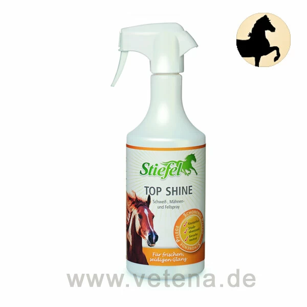 Stiefel Top Shine 1 Stiefel Top Shine