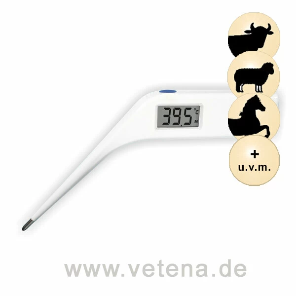 Veterinär-Digitalthermometer SC212 Geknickt 1 Veterinär-Digitalthermometer SC212 Geknickt