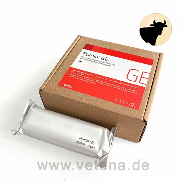 Rumin GE 1 Rumin GE