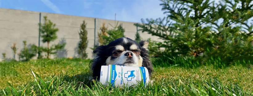 Virbac Strore -Virbac Strore 278225978 100836955943817 8472038996399353005 n