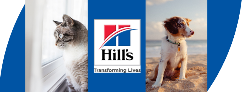 Virbac Strore -Virbac Strore 416975498 764615052376490 1007417775187872650 n